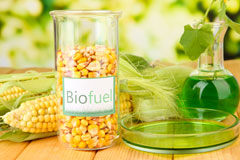 Clent biofuel availability